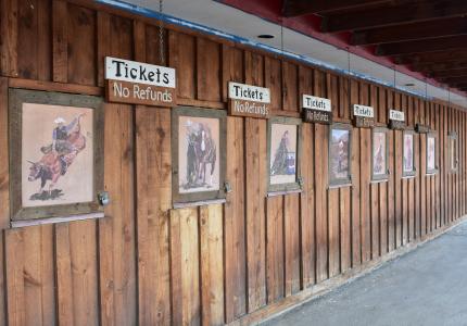 Stampede Ticket Windows