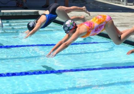 Swim Club Diving