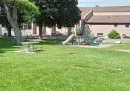 A park playground swing and slide set next to large trees in a park.