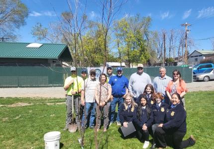 Group of people planting a tree in a park.