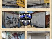 montage 7