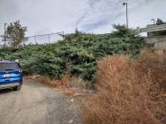 photo 39