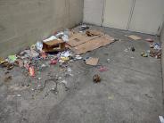Garbage cleanup 1