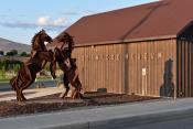 Omak Stampede Museum