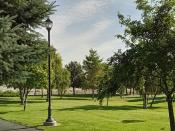 A park with an old fashion light pole and trees