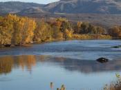 Picture of the Okanogan River next to Eastside Park