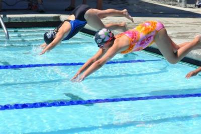 Swim Club Diving