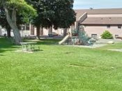 A park playground swing and slide set next to large trees in a park.