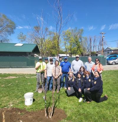 Group of people planting a tree in a park.